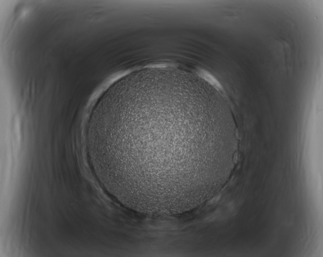 X0000086030337200703301059