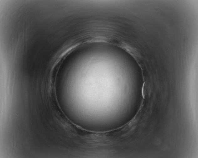 X0000086030338200703301059