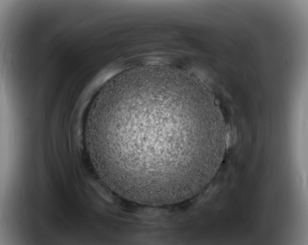 X0000086030339200703301059