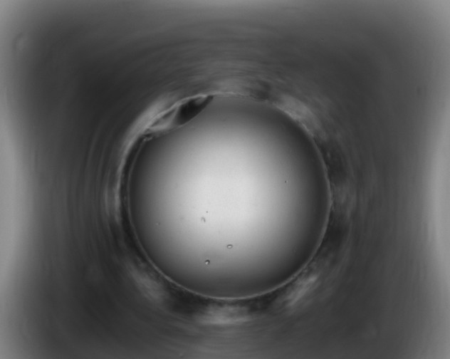 X0000086030340200703301059