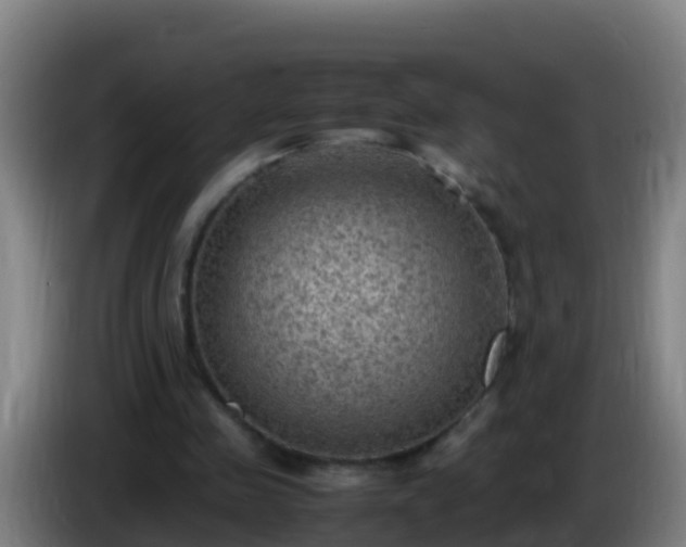 X0000086030341200703301059