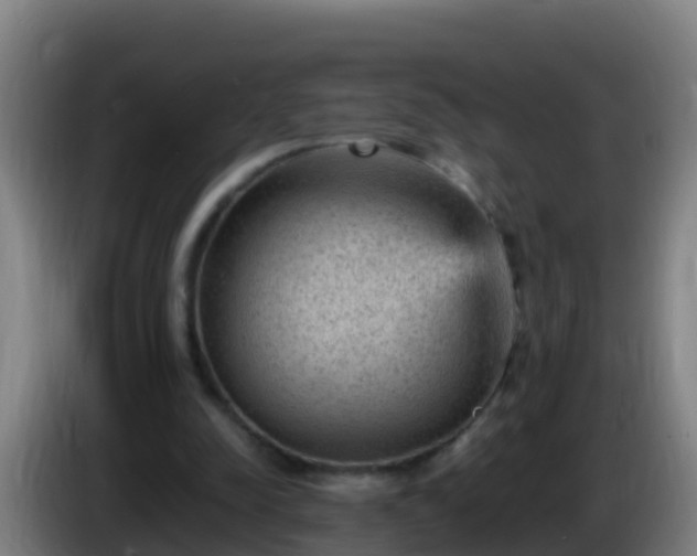 X0000086030342200703301059