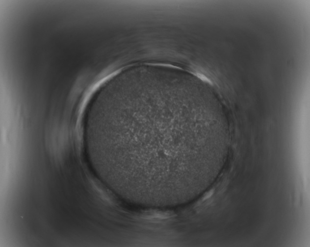 X0000086030343200703301059