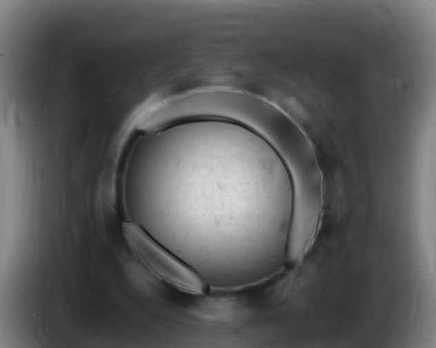 X0000086030344200703301059