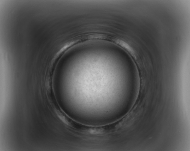 X0000086030345200703301059