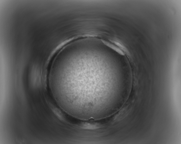 X0000086030346200703301059