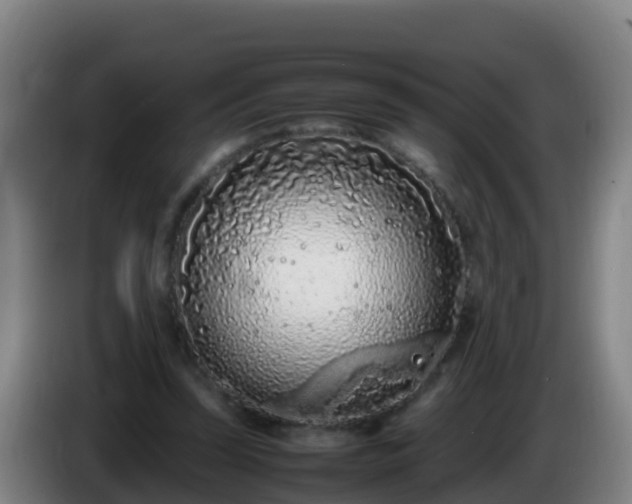 X0000086030347200703301059