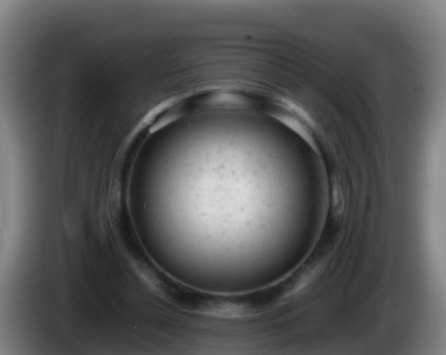 X0000086030348200703301059