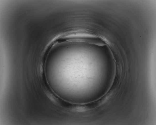 X0000086030350200703301059