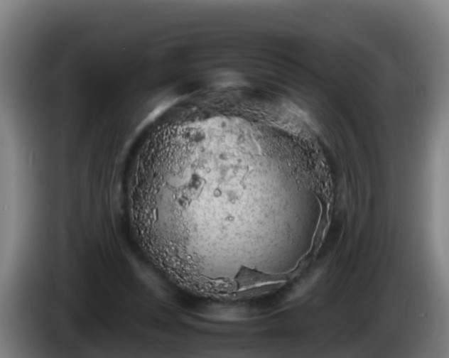 X0000086030351200703301059