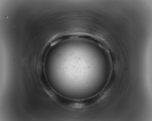 X0000086030352200703301059