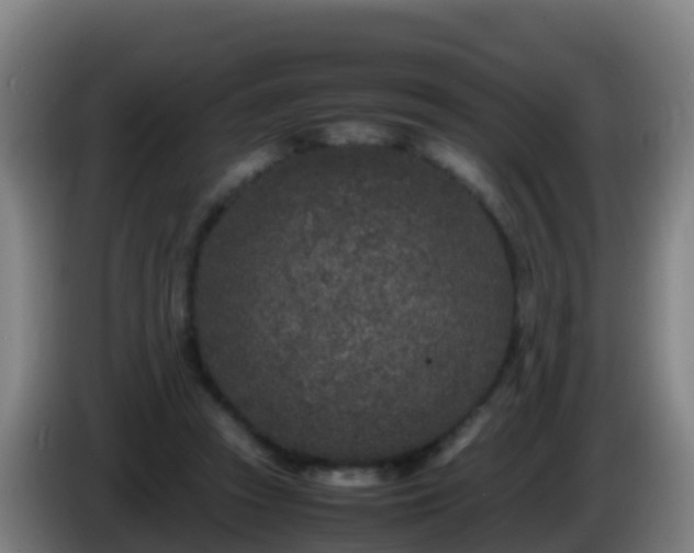 X0000086030353200703301059