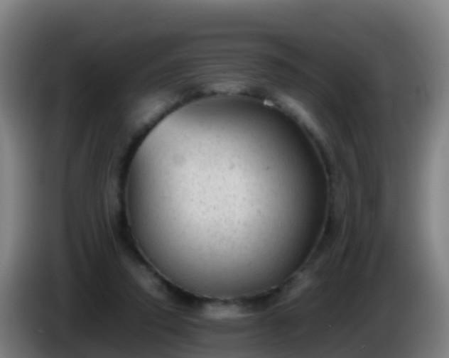 X0000086030354200703301059