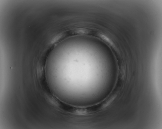 X0000086030355200703301059