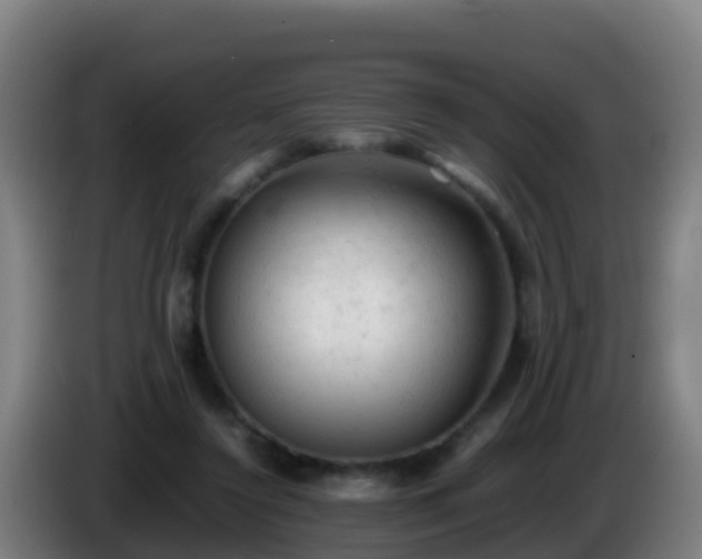 X0000086030356200703301059