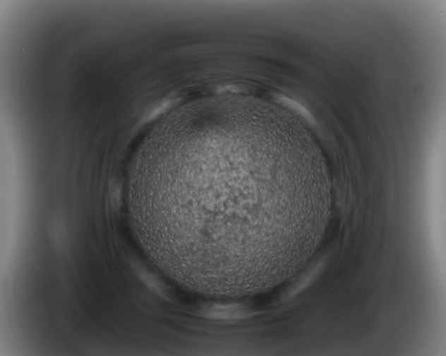 X0000086030357200703301059