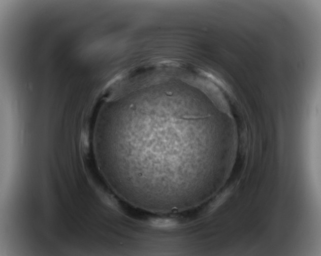 X0000086030358200703301059