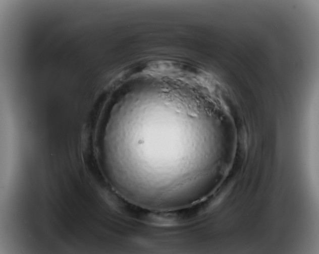 X0000086030359200703301059