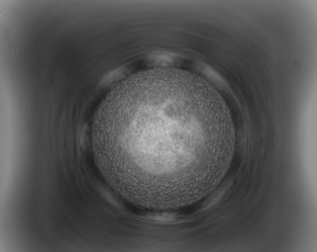 X0000086030361200703301059