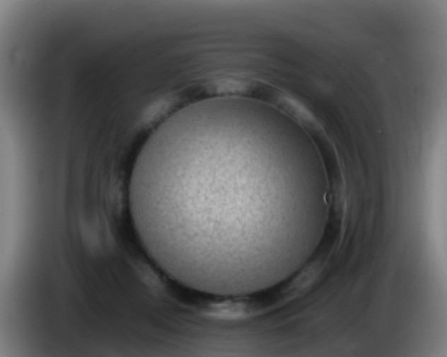 X0000086030362200703301059