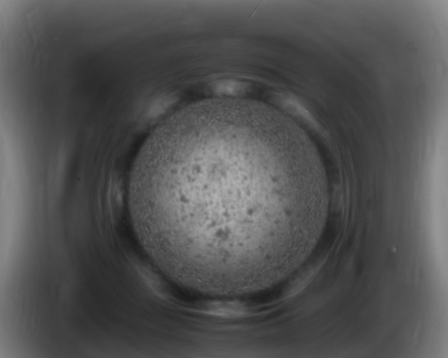 X0000086030363200703301059