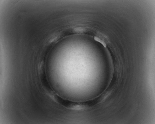 X0000086030364200703301059