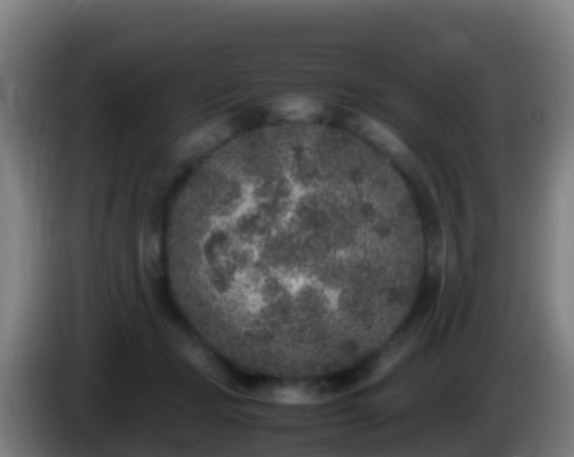 X0000086030365200703301059