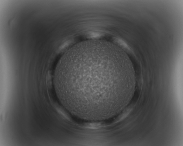 X0000086030366200703301059