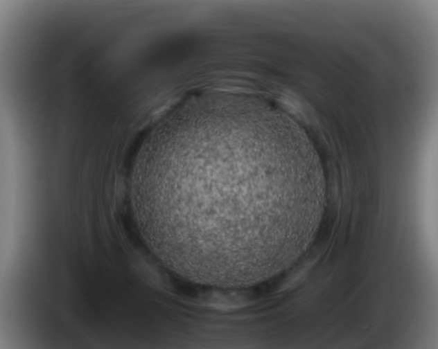 X0000086030367200703301059