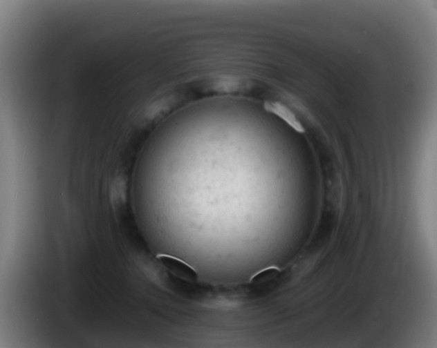 X0000086030368200703301059