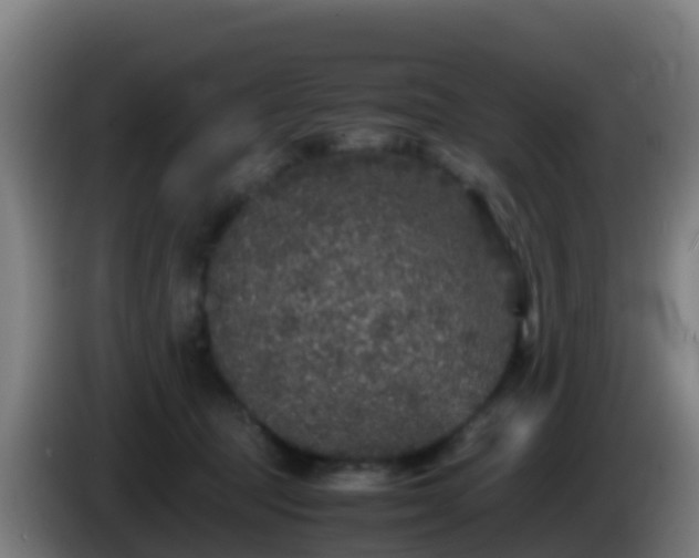 X0000086030369200703301059