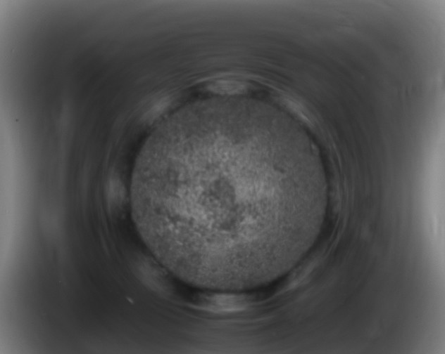 X0000086030371200703301059