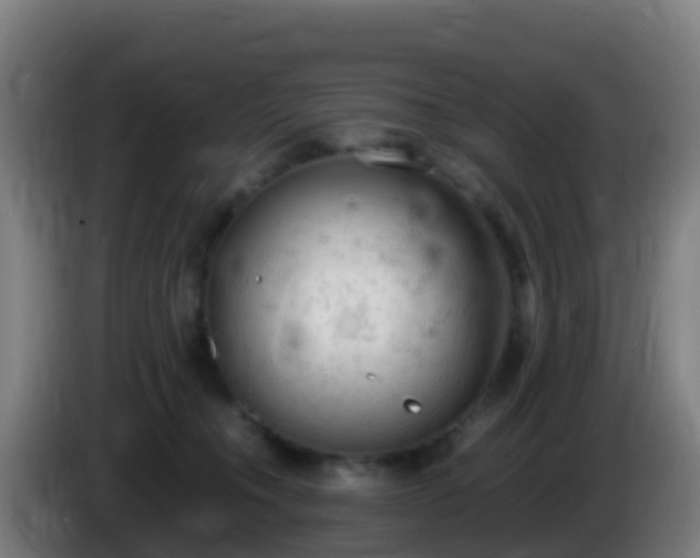 X0000086030372200703301059