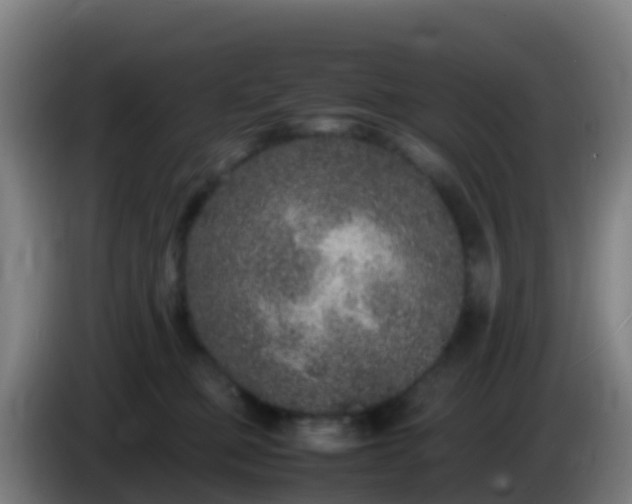 X0000086030373200703301059