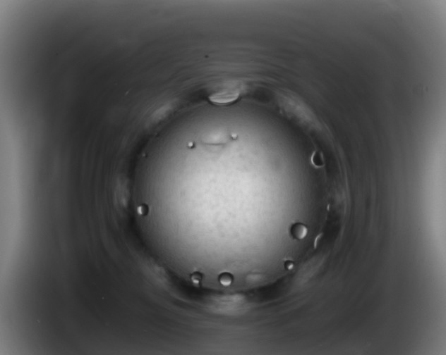 X0000086030374200703301059