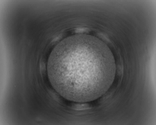 X0000086030375200703301059