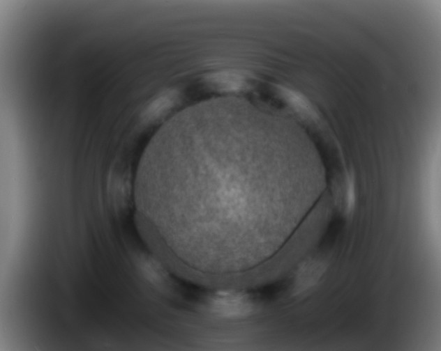 X0000086030376200703301059