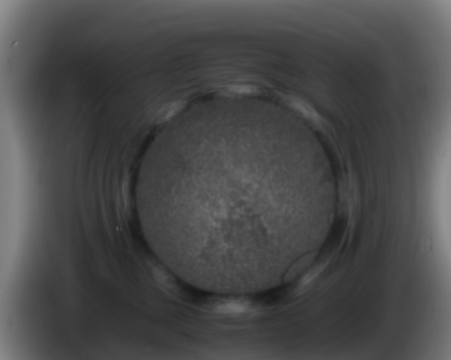 X0000086030377200703301059