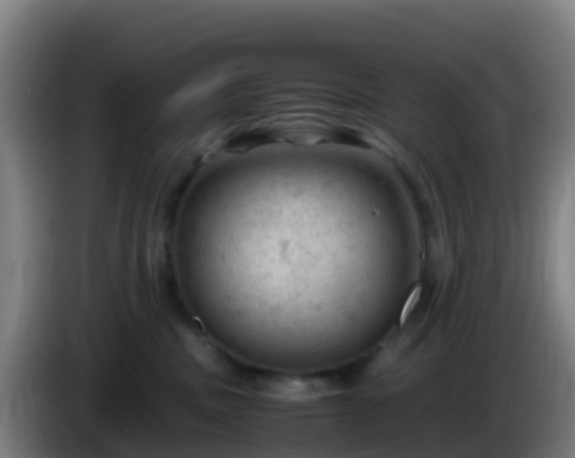 X0000086030379200703301059