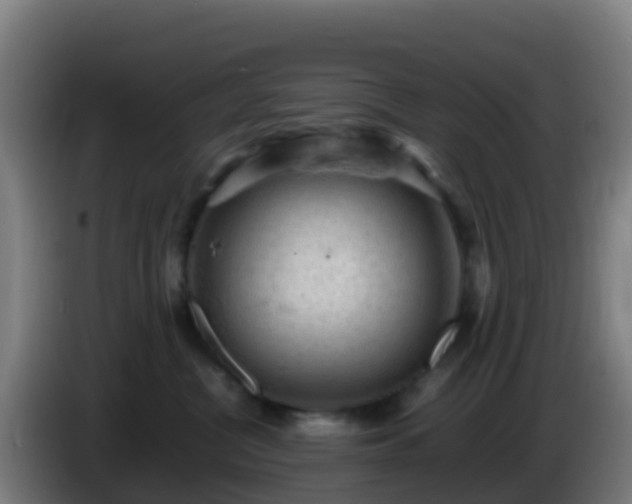 X0000086030380200703301059