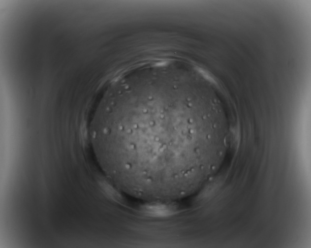 X0000086030381200703301059