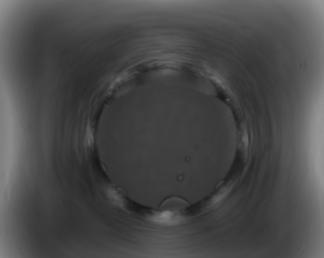 X0000086030382200703301059