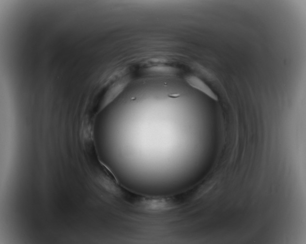 X0000086030384200703301059