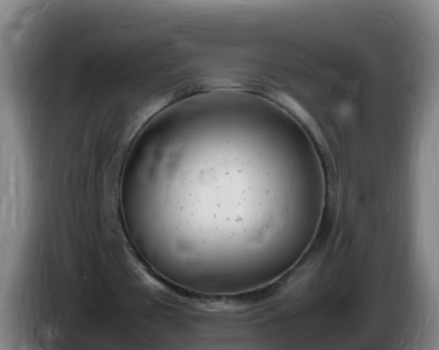 X0000086030385200703301059