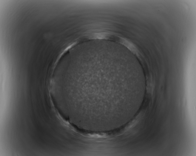 X0000086030386200703301059