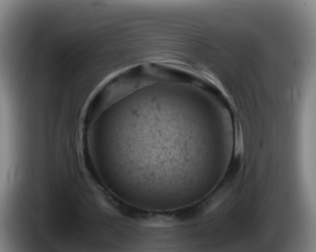 X0000086030387200703301059