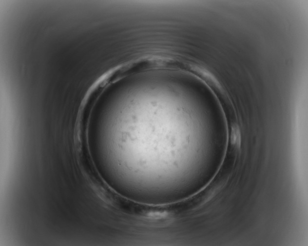 X0000086030388200703301059