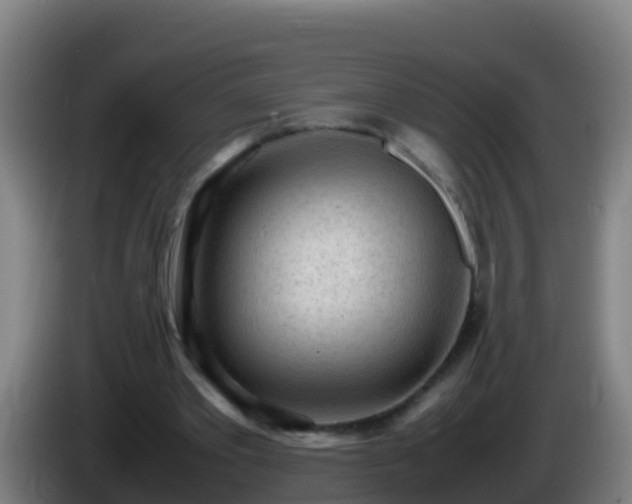 X0000086030389200703301059