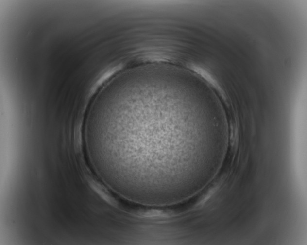 X0000086030390200703301059