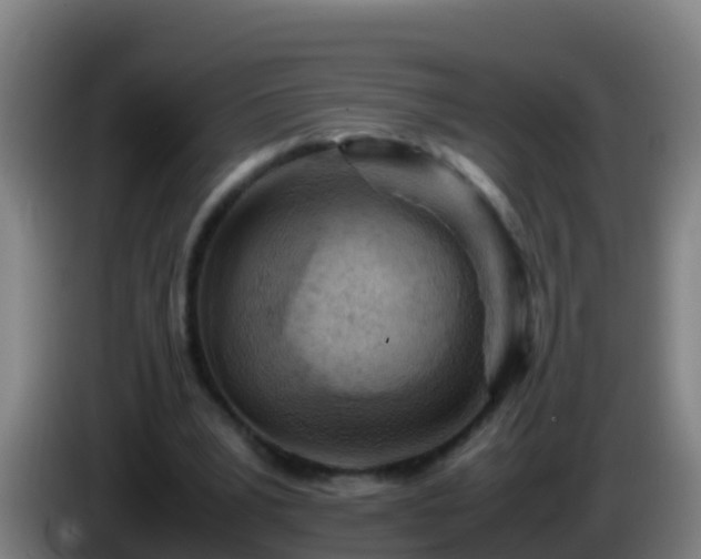 X0000086030391200703301059